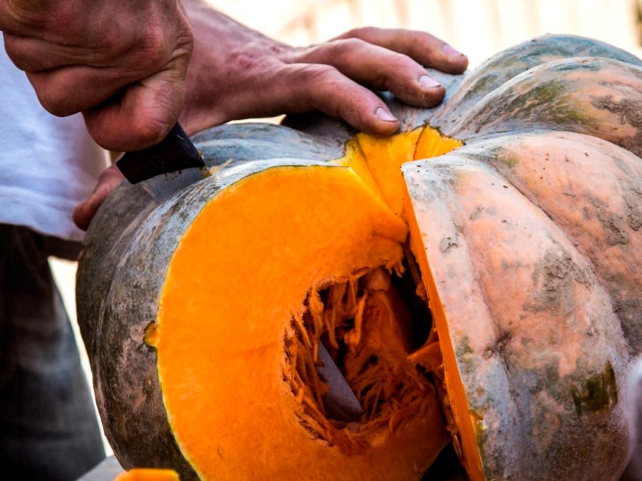 FIERA NAZIONALE DELLA ZUCCA